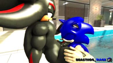 "The Sexual Adventures of Sonic and Shadow with Dark Beast Hog!"