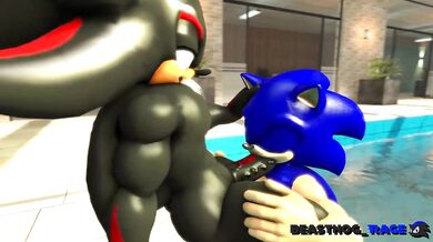 "The Sexual Adventures of Sonic and Shadow with Dark Beast Hog!"