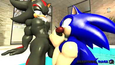 "The Sexual Adventures of Sonic and Shadow with Dark Beast Hog!"