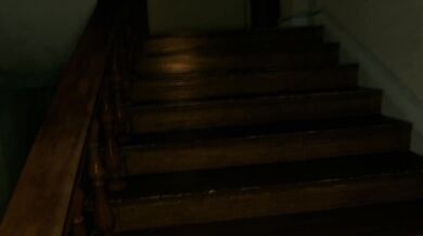 'Jill, the family dog, and her human master have an intense romp in the bedroom, leading to a night of passionate NTR sex'