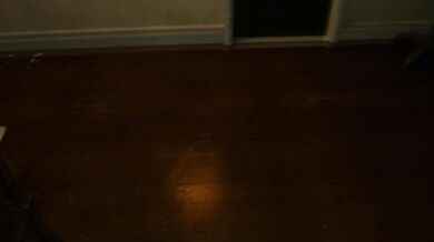 'Jill, the family dog, and her human master have an intense romp in the bedroom, leading to a night of passionate NTR sex'