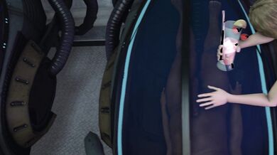 'The Infinite Love between the Busty Sisters'