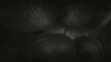 The Adventure of Kraven and Pickra - A Hentai Animation