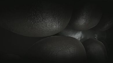 The Adventure of Kraven and Pickra - A Hentai Animation