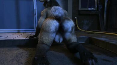 One Hot Summer Night with a Comet and Her Dog