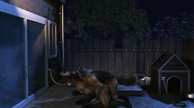 One Hot Summer Night with a Comet and Her Dog