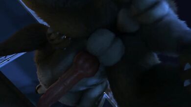 One Hot Summer Night with a Comet and Her Dog