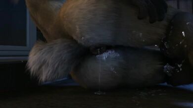 One Hot Summer Night with a Comet and Her Dog