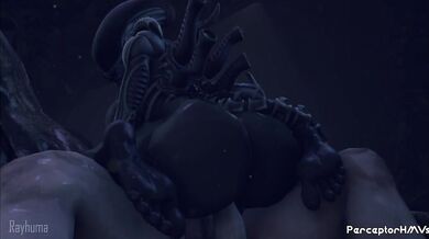 Painful Rayhuma Blowjob and Anal!