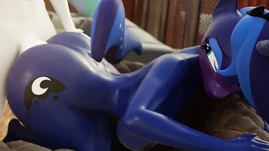 The innocent looking Celestia and Luna turn up the heat by engaging in doggy style with their furry friends