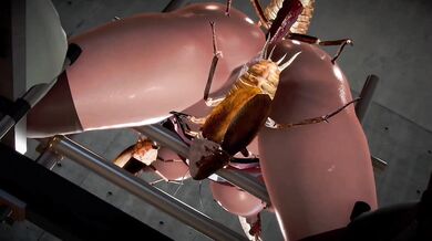 The Hentai Adventures of Luna Maria and the Roach Fucker