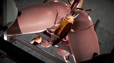 The Hentai Adventures of Luna Maria and the Roach Fucker