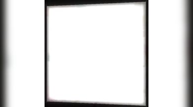 The Ultimate Blowjob Fantasy with Expensive Bitches PMV