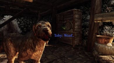 Sexual Adventures with Miriams Dog