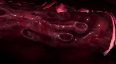 --------------------