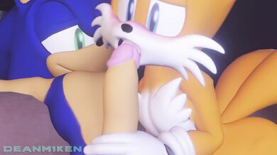 ----------------------