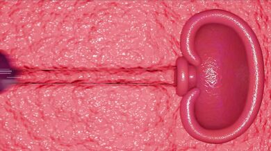 Hey, I am new here and would like to request a video edit Could you please add some effects or transitions between scenes?