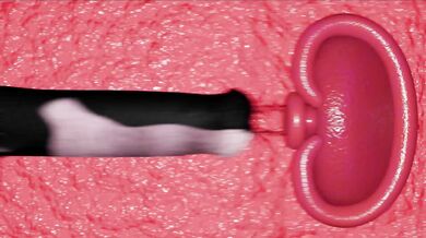 Hey, I am new here and would like to request a video edit Could you please add some effects or transitions between scenes?