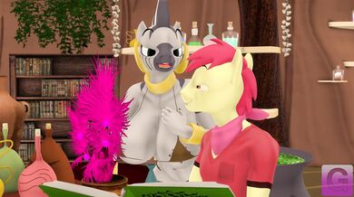 ----------------------------------------------