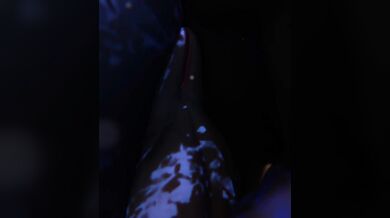 Staying in the game with Xazter3Ds Gunslinger!