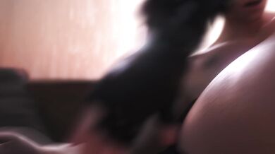 The Fattest of Cakes, ScyllaHMV