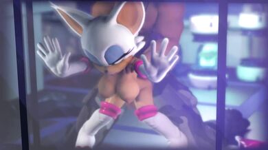 Rogue Caught by Security 9 (Rogue Nine) Was that better?