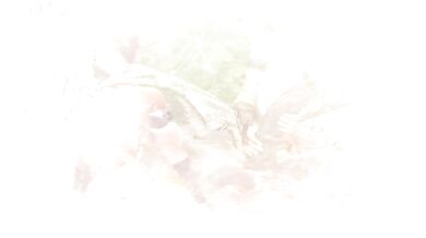 COCKSLUT - FANTASY ENHANCED - TRAILER - PICTURES, MUSIC AND SMOOTH FUCKING MOVIES