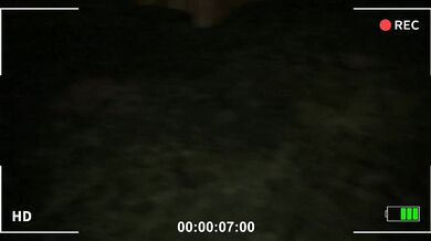 The Slender Lady finds another victim in the woods!