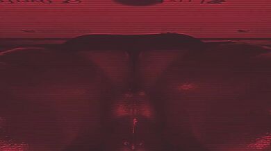 Pleasure Palace of Futa PMV: Inside the Forbidden Chambers