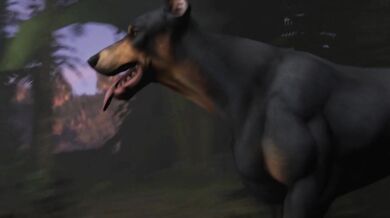 Busty Elena Fisher and Nadine Ross in a wild sexual encounter with feral animals