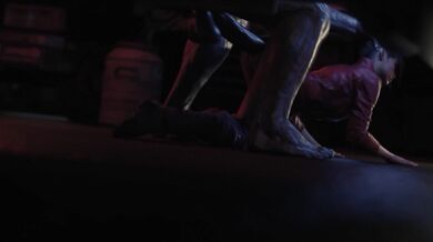 Write a brief summary of what happens in the video