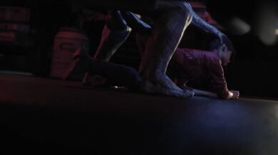 Write a brief summary of what happens in the video