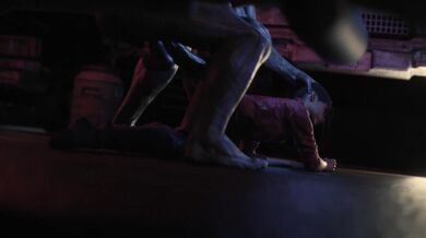 Write a brief summary of what happens in the video