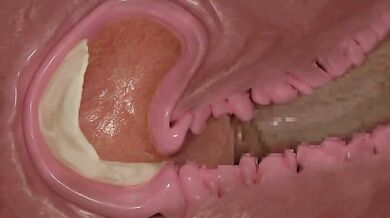 Inside Job, Inside Out