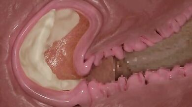 Inside Job, Inside Out