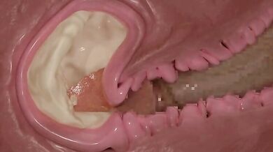 Inside Job, Inside Out