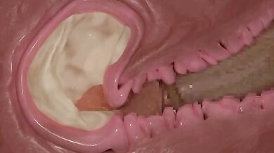 Inside Job, Inside Out