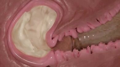 Inside Job, Inside Out