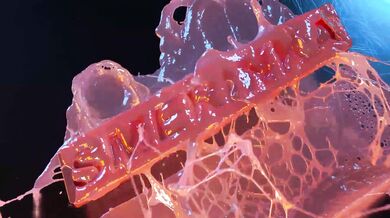 Watch as these two beautiful women share a passionate love in the garden with an orange tree as their centerpiece