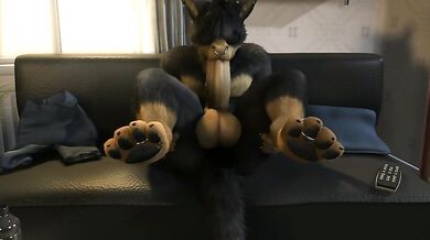 Xanders Animation: Horny Horse Adventure