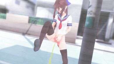 A Day of Public Urination - Hikaris View from the Toilet Seat