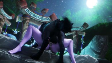 The Legendary Night of Tyrande X Wolf and a Mysterious Stranger