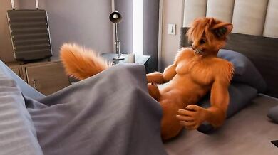 Animation - Lock and Scraps