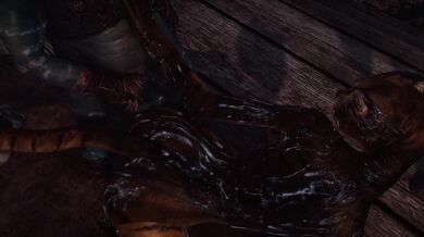 The Khajiit Teenager Turned into Riekling Breeding Stock for the Elves of Skyrim