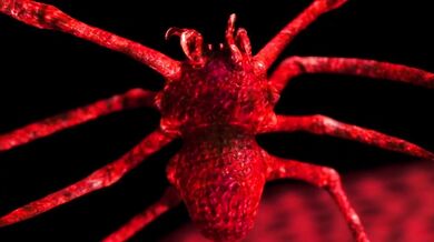 Would you like to cum again?