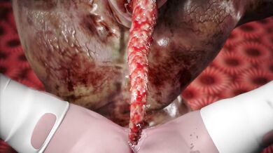 Would you like to cum again?