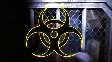 Write a sentence that makes use of the word dichotomy