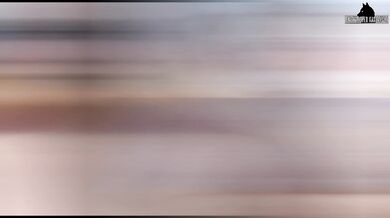 Batmans Bad Girlfriend: Harley Quinns Beast Master Kink