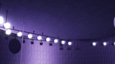 I have a funny feeling that this is going to be an interesting insect party!