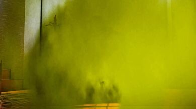 ElSharkoDiablos Gassy Obsession with Skunkchans Ass Expands Beyond Control in Skunkchans Gassy Expansion